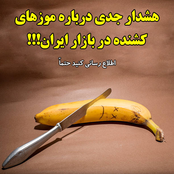 هشدار جدی درباره موز کشنده در بازار ایران!!! + عکس