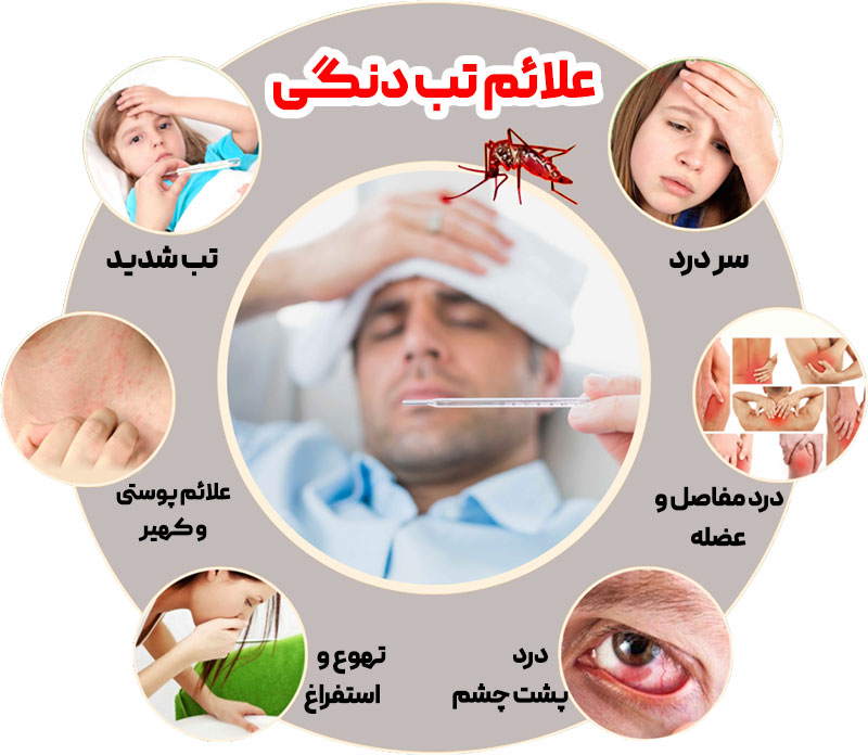 علائم تب دنگی