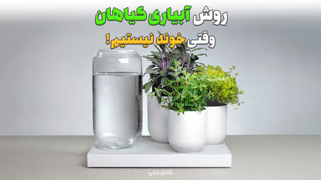 وقتی خونه نیستیم چطور گیاهان رو آبیاری کنیم