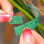 چسب نظم دهنده گل و گیاه چسب نر و ماده 2 متری