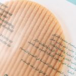 اسفنج شستشو و لایه بردار بدن BONEX