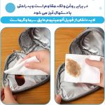 کیف تغذیه مدرسه ضدآب (عایق گرما سرما)