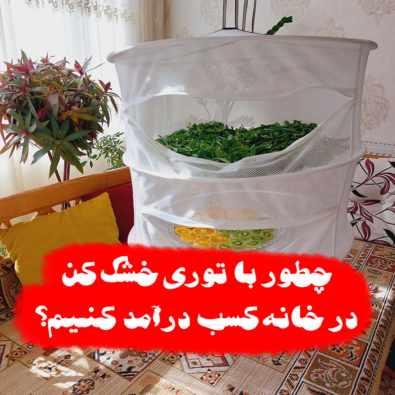 چطور با توری خشک کن در خانه کسب درآمد کنیم