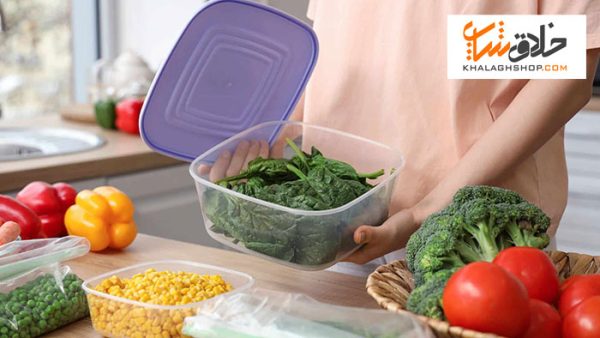ظرف نگهدارنده غذا