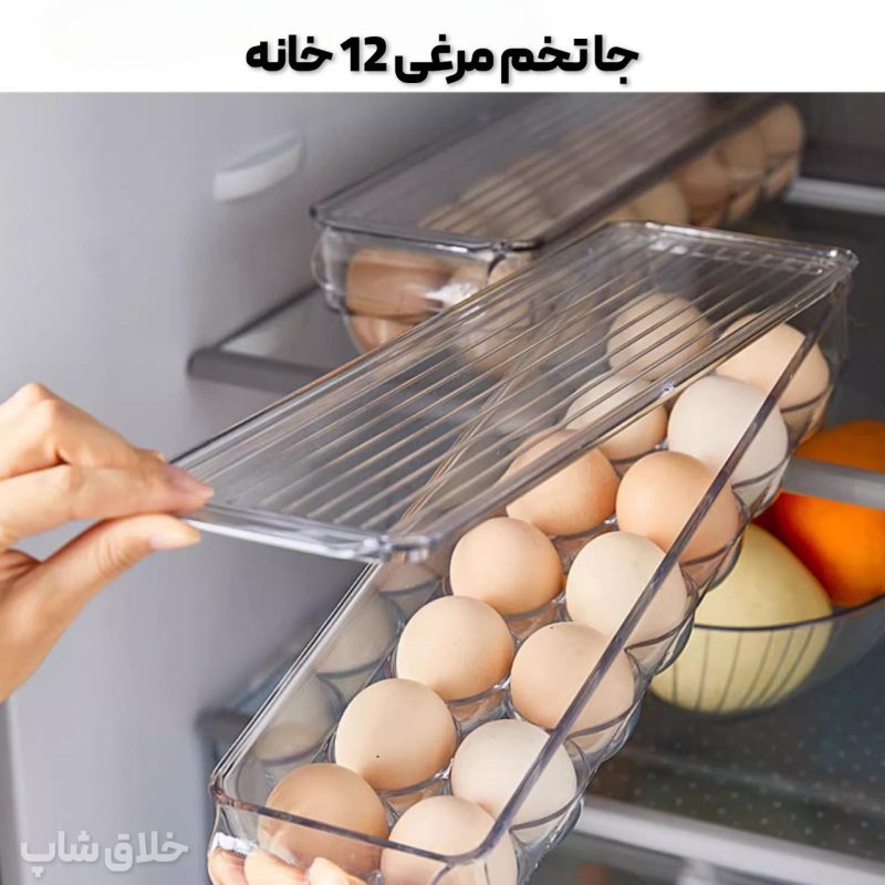 جا تخم مرغی دربدار 12 خانه