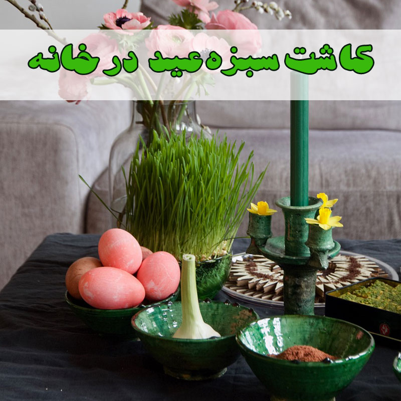 سبزه عید چی بکارم