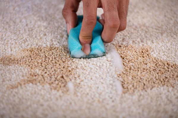 چگونه لکه فرش و مبل را پاک کنیم؟ 3 پاک کردن لکه فرش و مبل