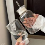 بطری پیرکس نی دار-ماگ اسموتی ساز نشکن دو درب 500ML