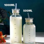 بطری پیرکس نی دار-ماگ اسموتی ساز نشکن دو درب 500ML